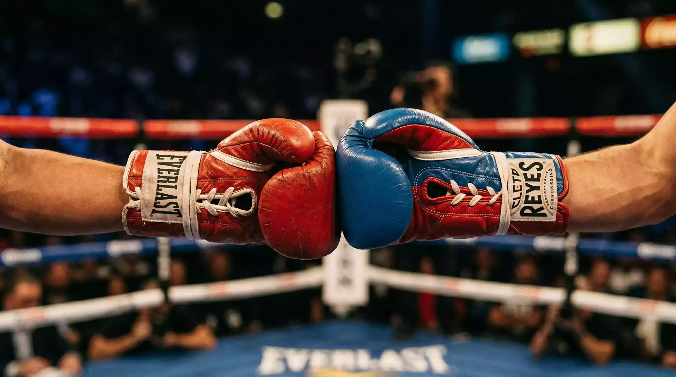 Boxwetten Arten Siegwette und KO-Wette im Vergleich